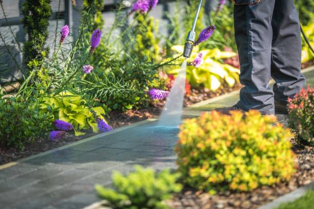 Trusted South Hill, WA Pressure Washing Experts