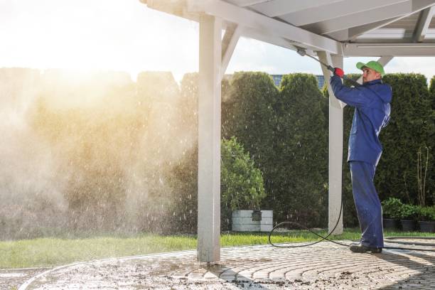 Best Pre-Holiday Cleaning  in South Hill, WA